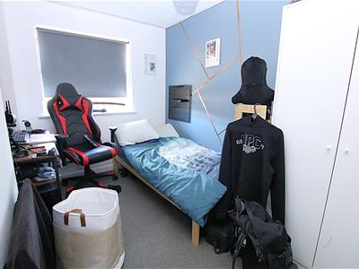 Picture 8